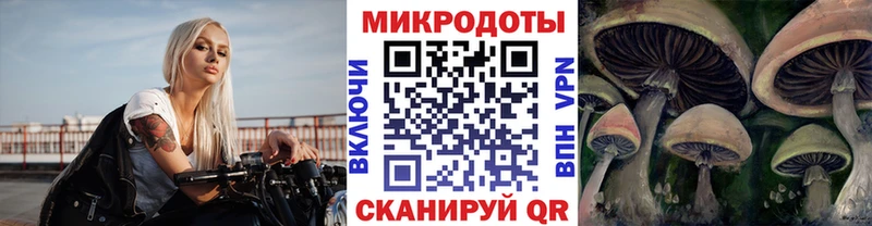 что такое   Азов  Псилоцибиновые грибы Psilocybine cubensis 