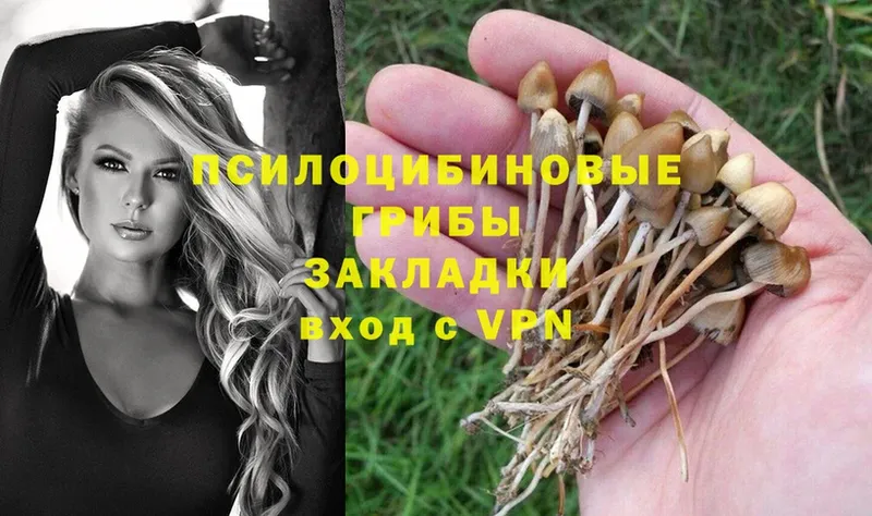 Псилоцибиновые грибы прущие грибы  цена   Азов 