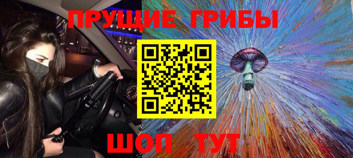 Галлюциногенные грибы Psilocybine cubensis Азов