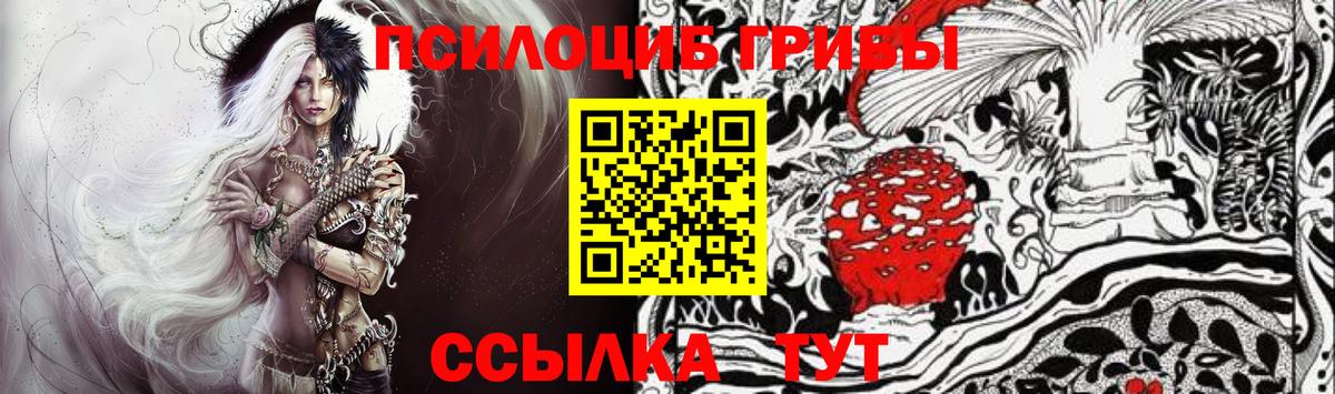 Псилоцибиновые грибы Cubensis Азов