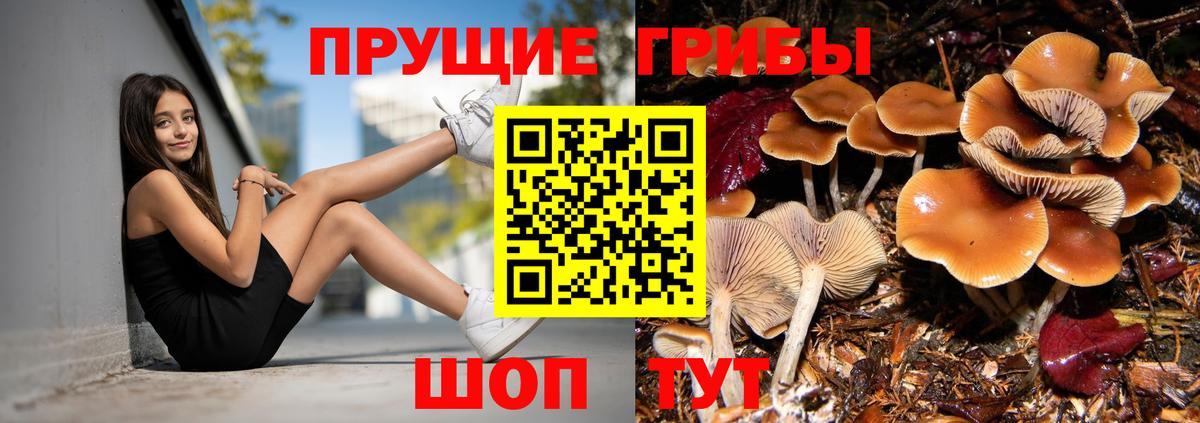 Галлюциногенные грибы GOLDEN TEACHER  Азов 