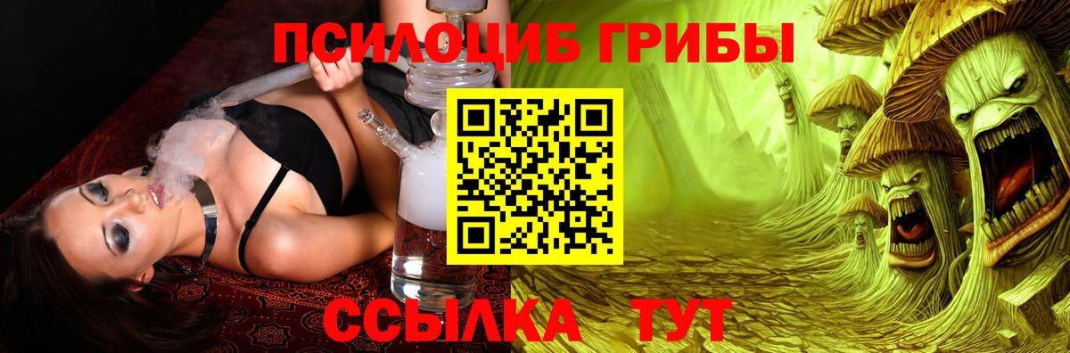 Азов  Псилоцибиновые грибы Cubensis  Вход с VPN 